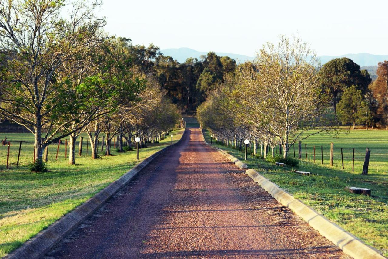 רוטברי Blueberry Hill Vineyard Stay מראה חיצוני תמונה