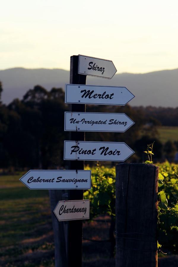 רוטברי Blueberry Hill Vineyard Stay מראה חיצוני תמונה