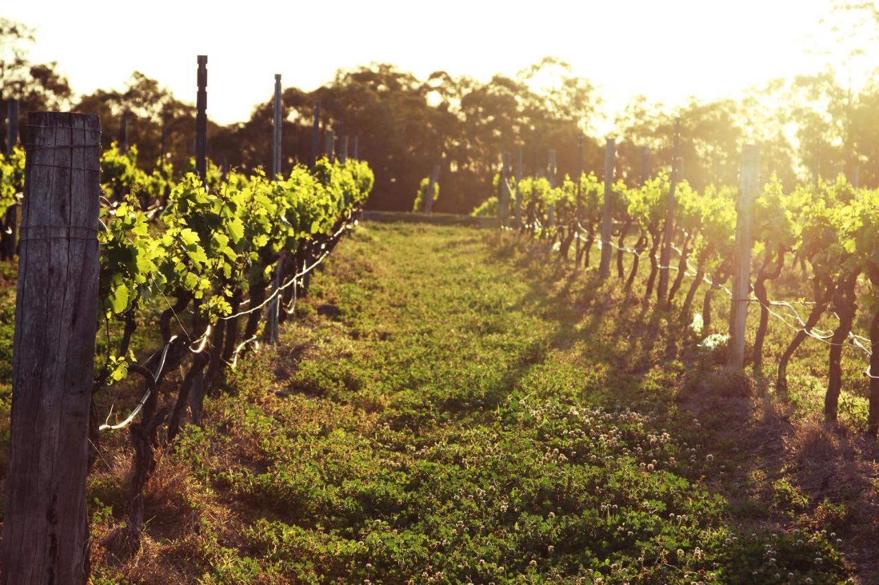 רוטברי Blueberry Hill Vineyard Stay מראה חיצוני תמונה