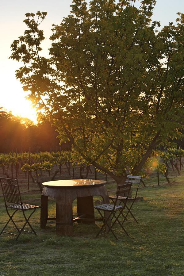רוטברי Blueberry Hill Vineyard Stay מראה חיצוני תמונה