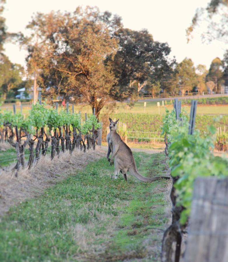 רוטברי Blueberry Hill Vineyard Stay מראה חיצוני תמונה